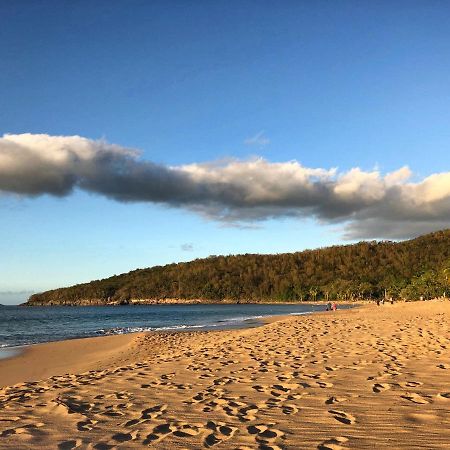 Le Surf Lodge, Chambre Avec Vue Mer Dans Un Ecrin De Verdure Deshaies Luaran gambar
