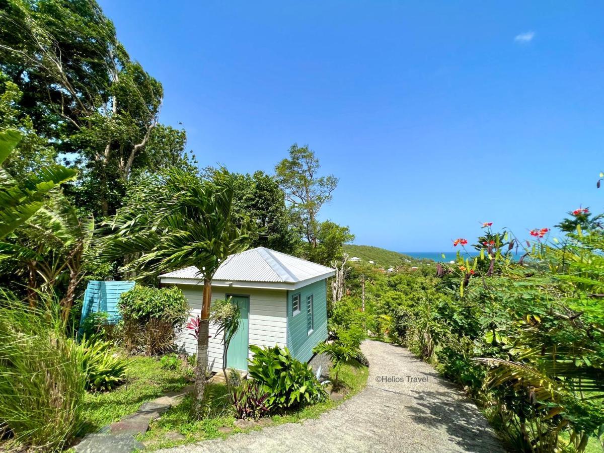 Le Surf Lodge, Chambre Avec Vue Mer Dans Un Ecrin De Verdure Deshaies Luaran gambar