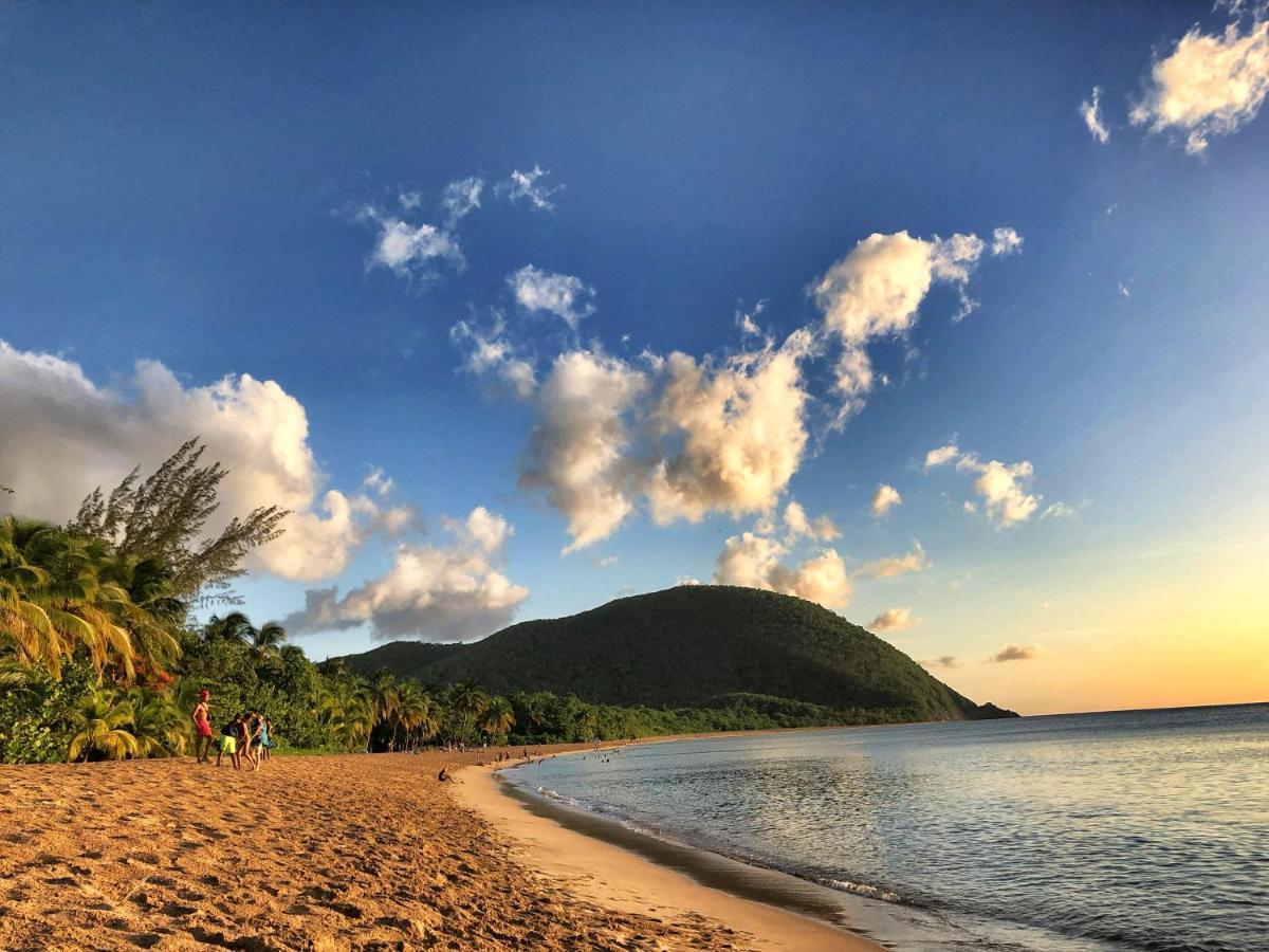 Le Surf Lodge, Chambre Avec Vue Mer Dans Un Ecrin De Verdure Deshaies Luaran gambar